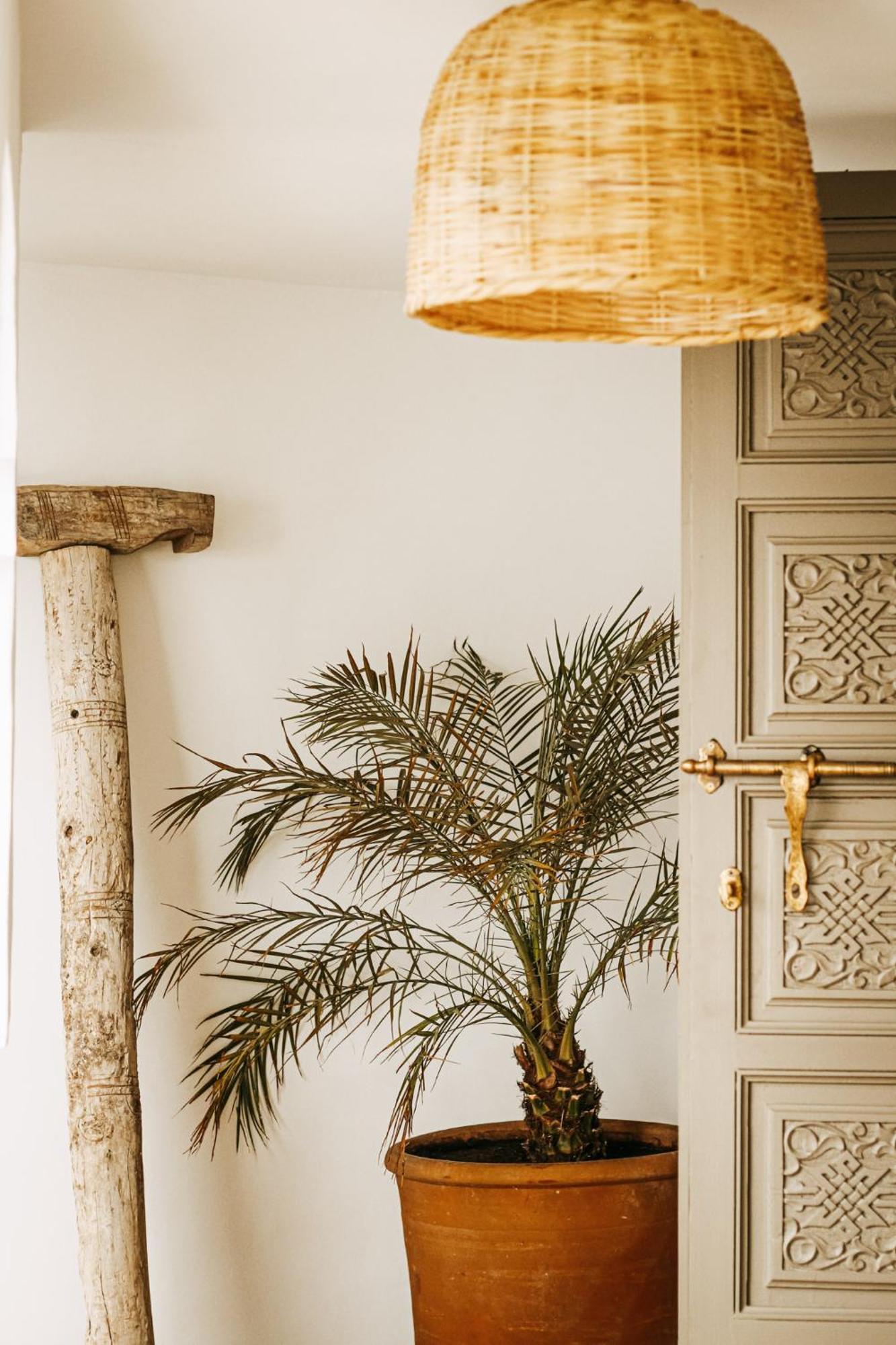 Riad Shabi Kasbah マラケシュ エクステリア 写真